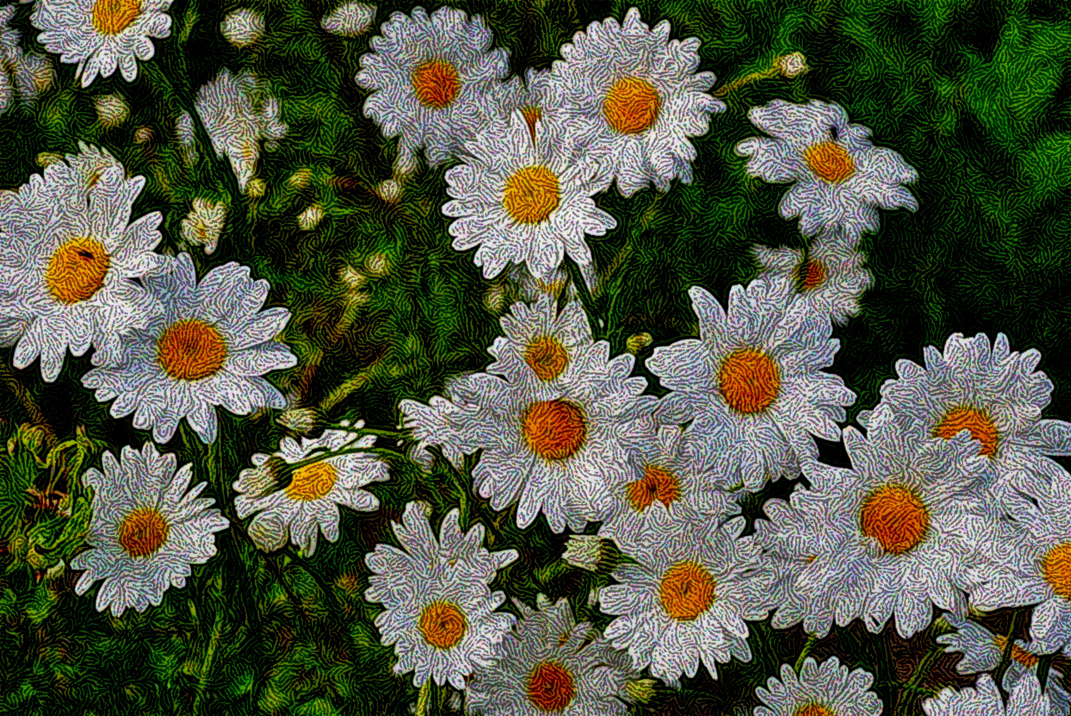 pexels-pixabay-67857_DN_DrawEffect_S_Twirled.jpg