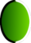 oval_bw-ring.png