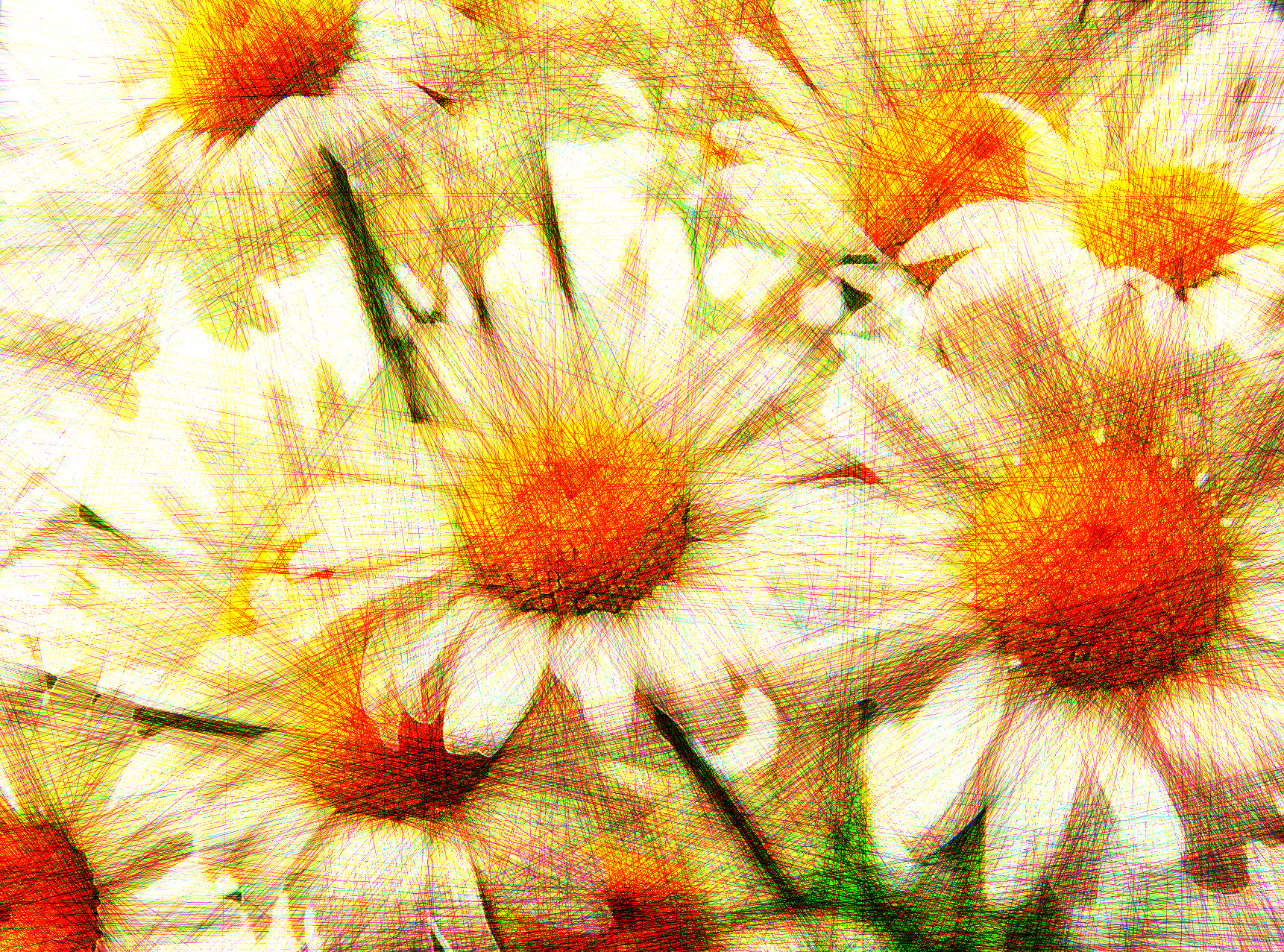 daisy-3067243_DN_DrawEffect_V.jpg