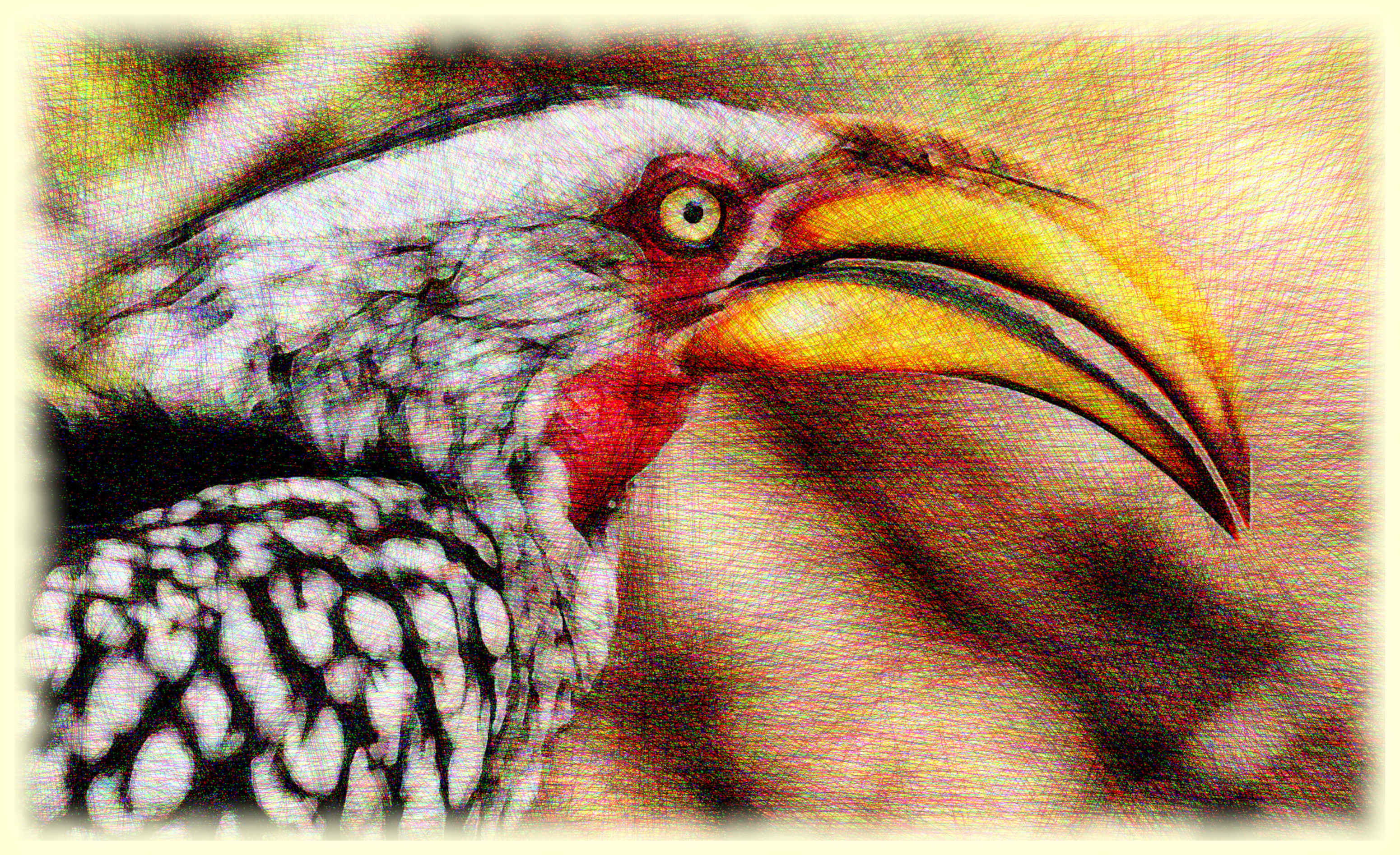 _toco_piquigualdo_sureño_leucomelas_DN_DrawEffect_V.jpg