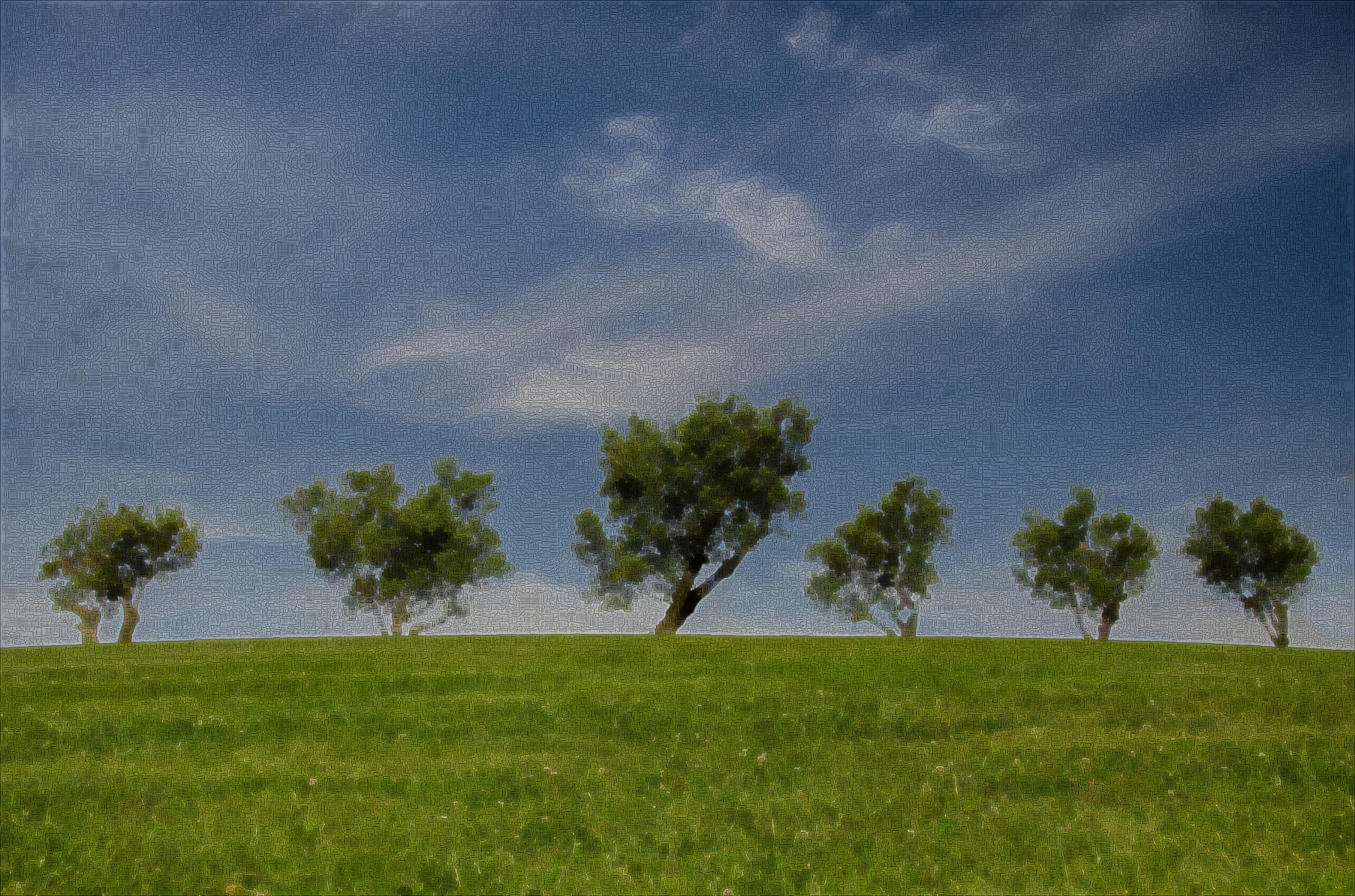 pexels-skitterphoto-9283_DN_DrawEffect_X.jpg