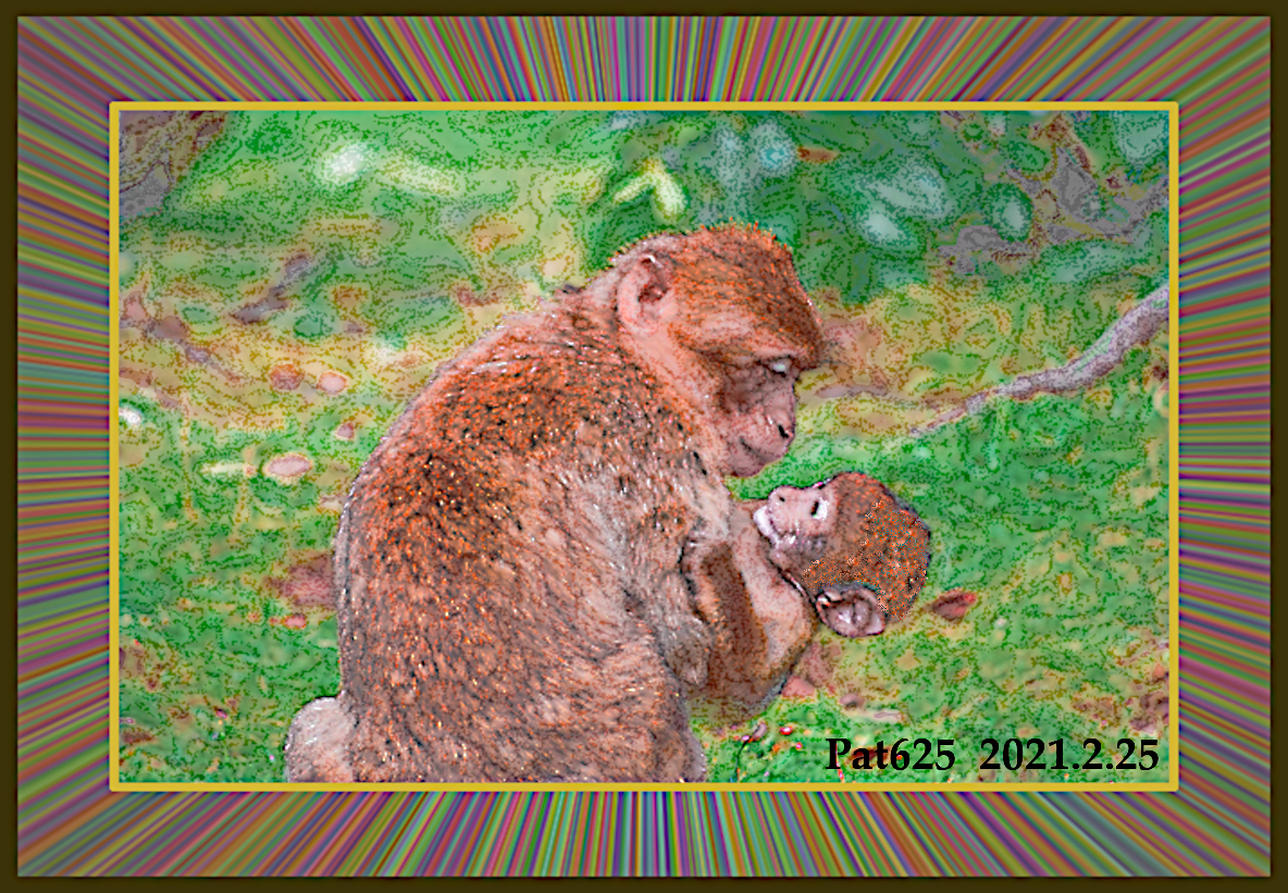 MotherChildPrimates.DN.DrawStyle_W.jpg