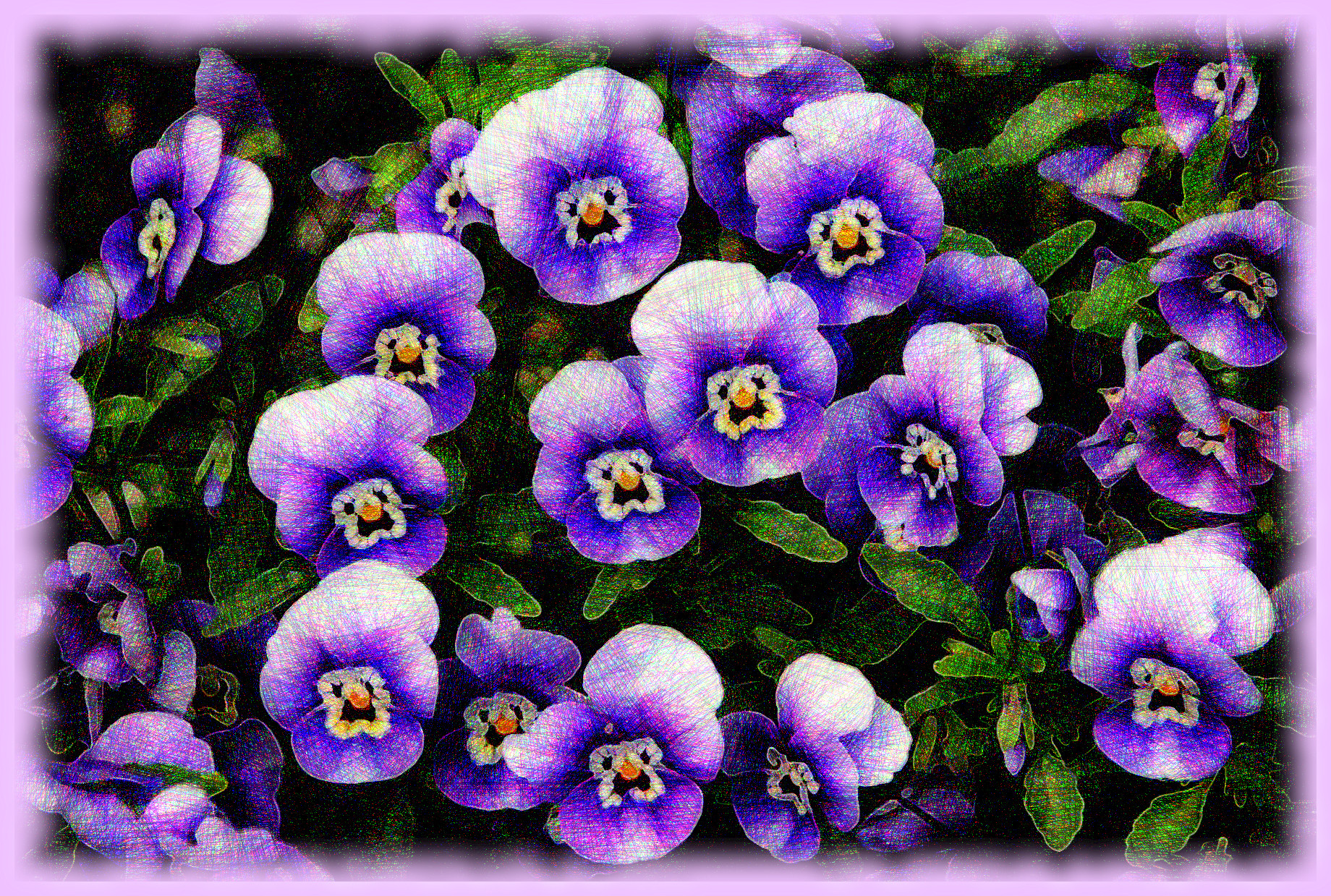 flowers-200270_DN_DrawEffect_V_Framed.jpg