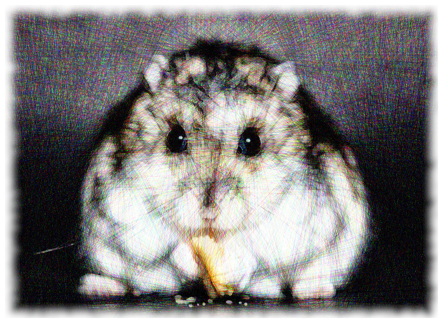 hamster-1772742_DN_DrawEffect_V_Framed.jpg
