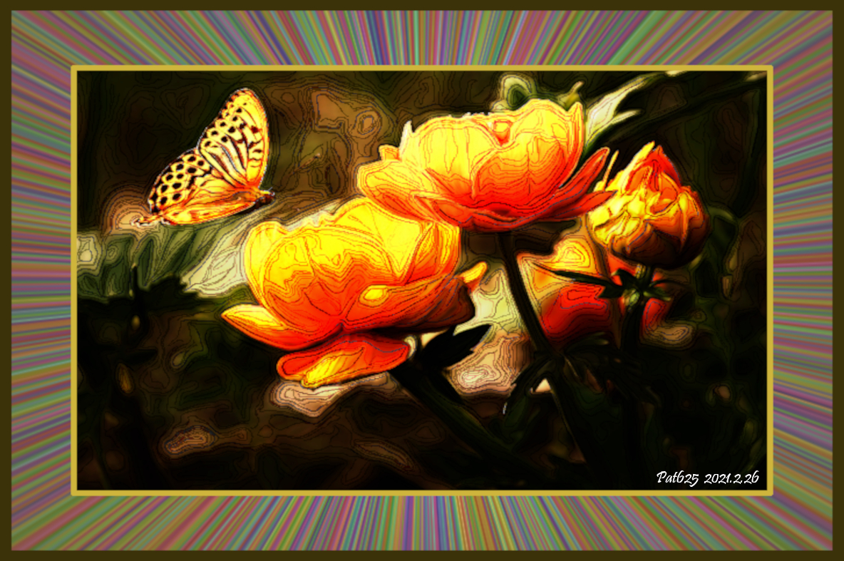 Flowers.DN.DrawStyle_W.jpg