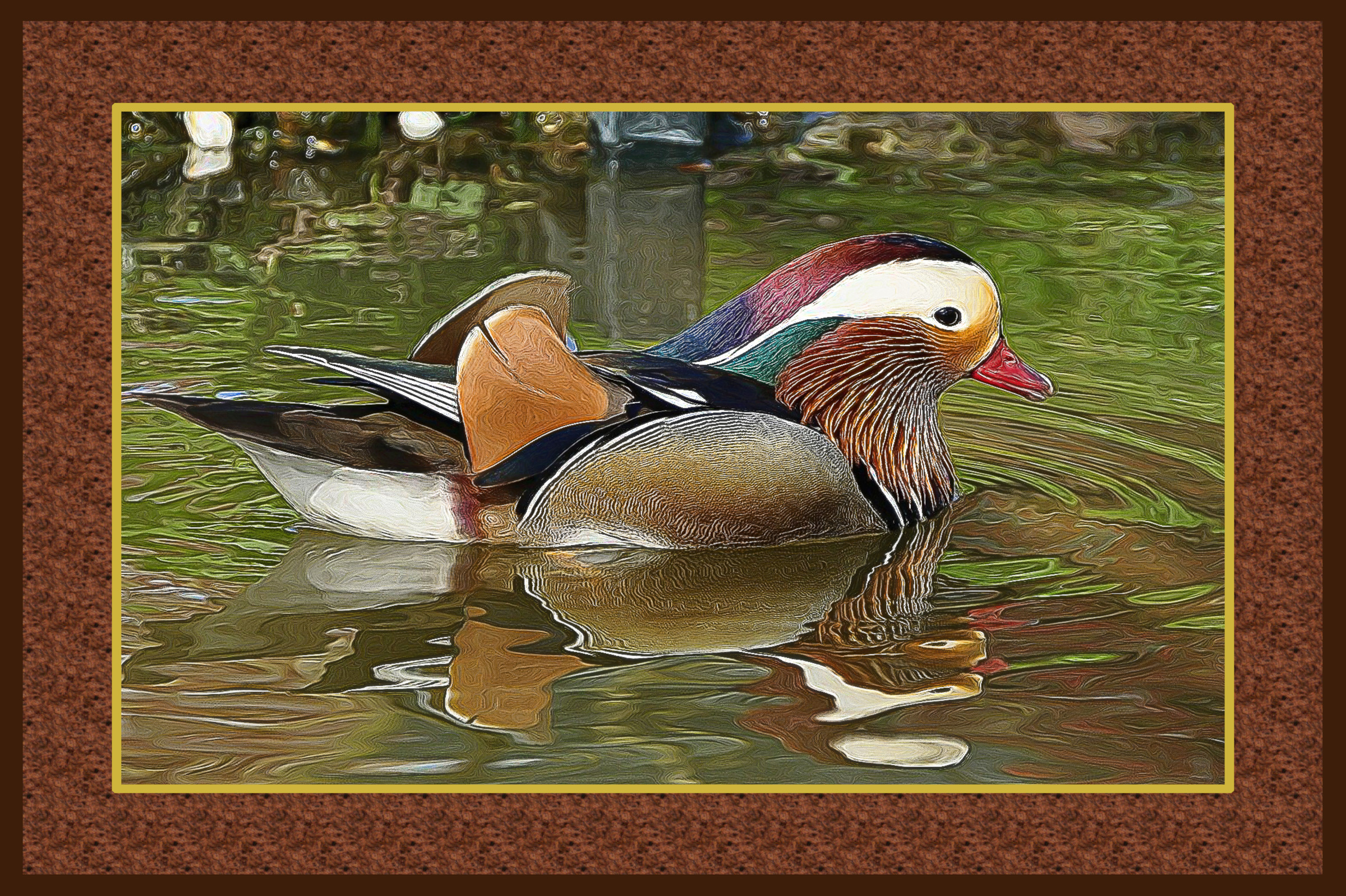 duck-61679_DN_DrawEffect_Y.jpg