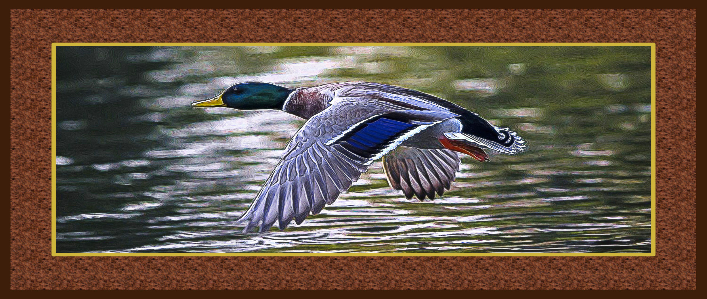 duck-2824378_DN_DrawEffect_Y.jpg