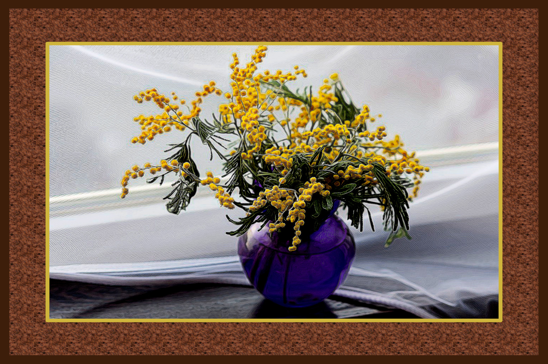 mimosa-4253396_DN_DrawEffec_Y.jpg