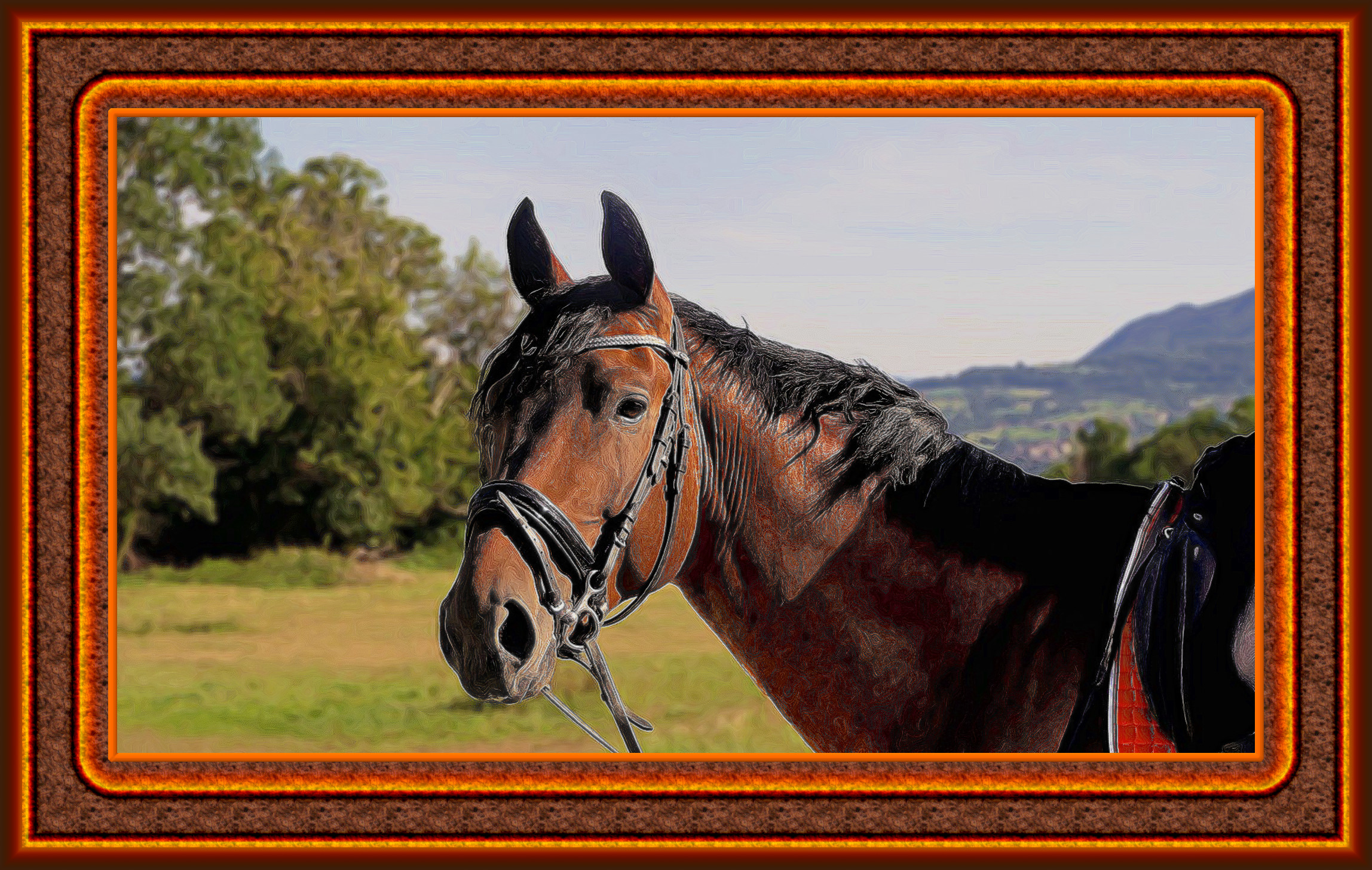 horse-3114412_DN_DrawEffect_Y.jpg