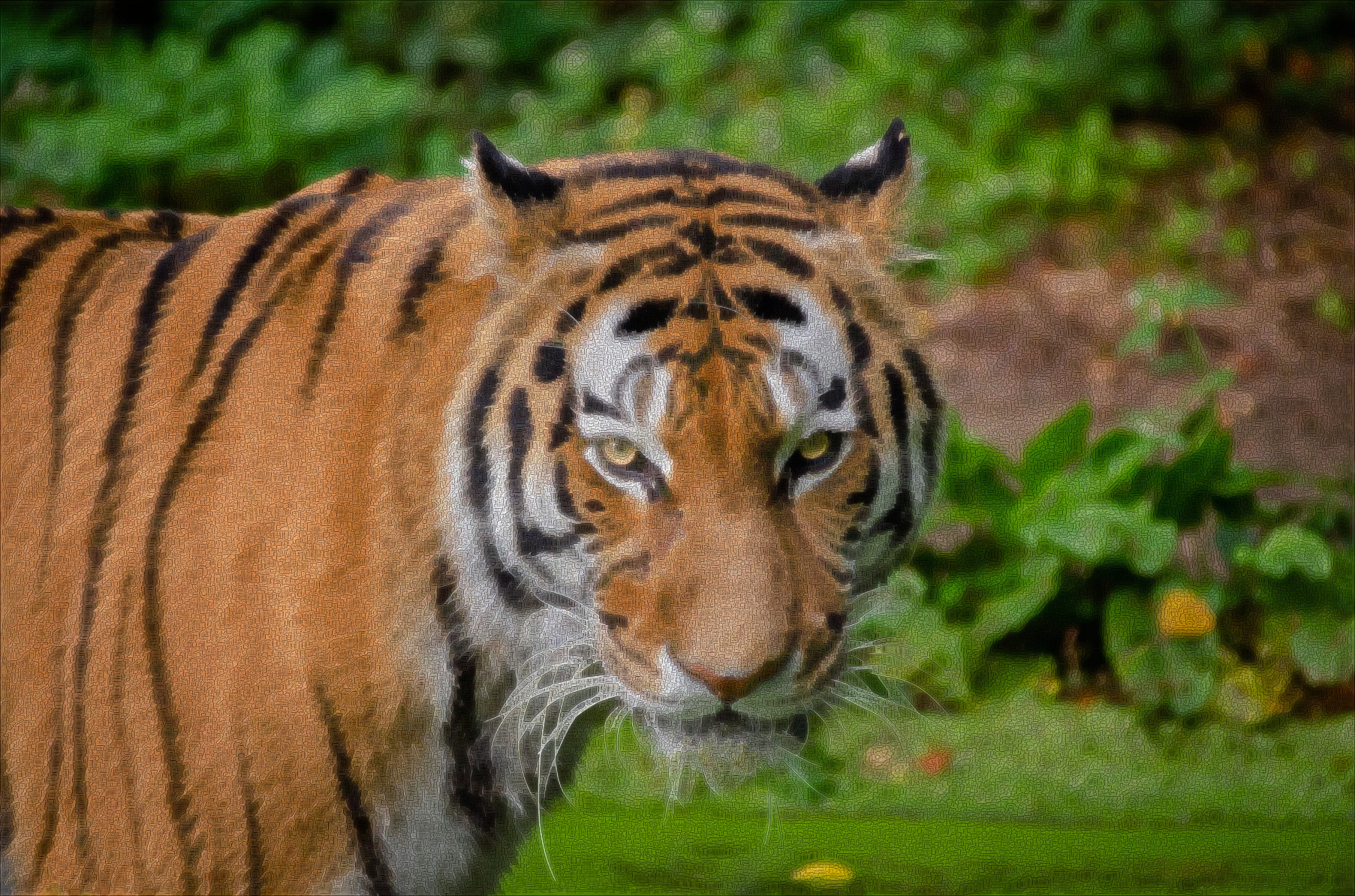 animal-1852813_DN_DrawEffect_X.jpg