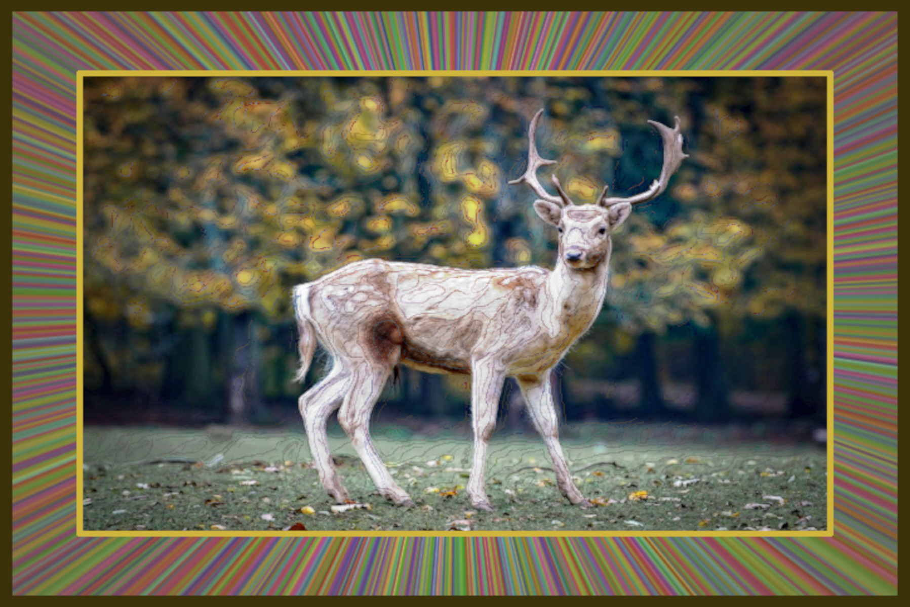 nature-2634729_DN_DrawEffect_W_normal.jpg