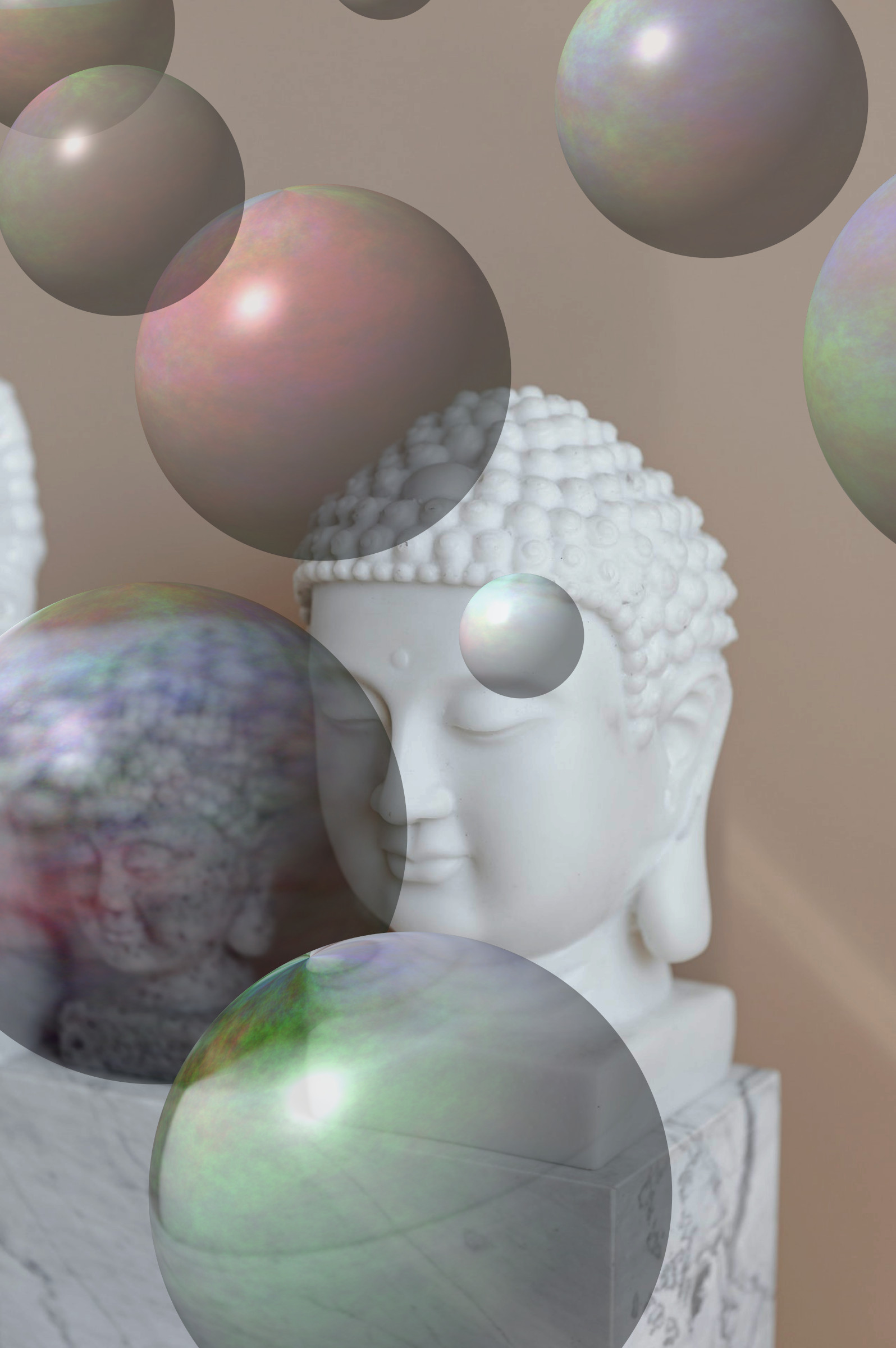 pexels-karolina-grabowska-4203055_DN_Decor_Particles_Through_SphereMap.jpg