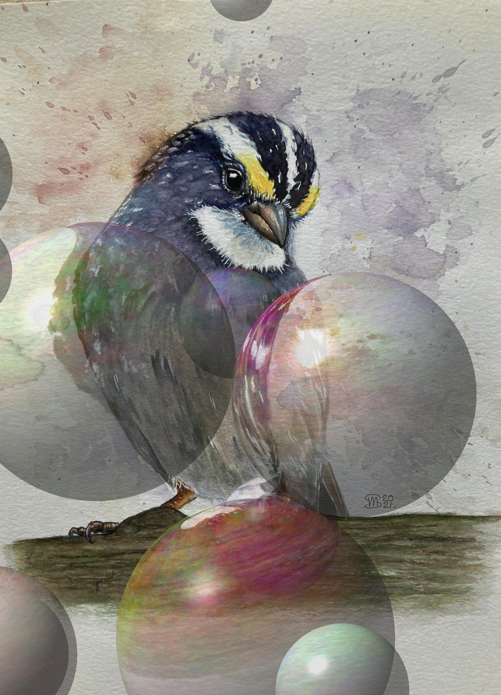 bird_by_marmeline_dedx8ne-fullview_DN_Decor_Particles_Through_SphereMap.jpg
