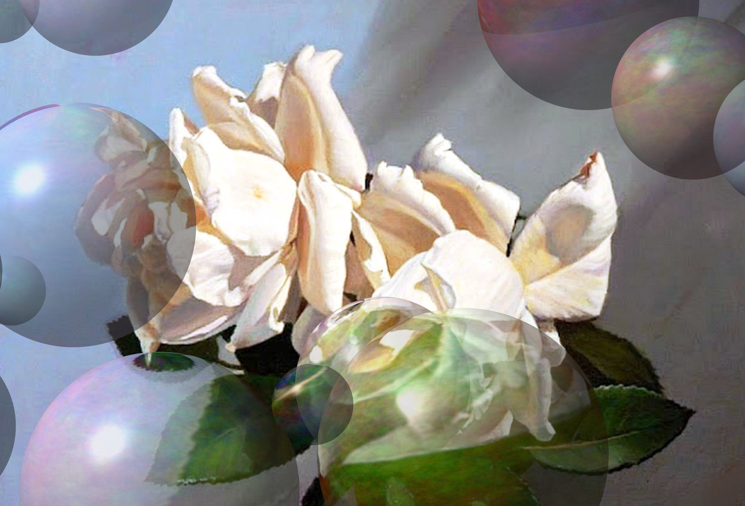 Rosas_cuadros_DN_Decor_Particles_Through_SphereMap.jpg