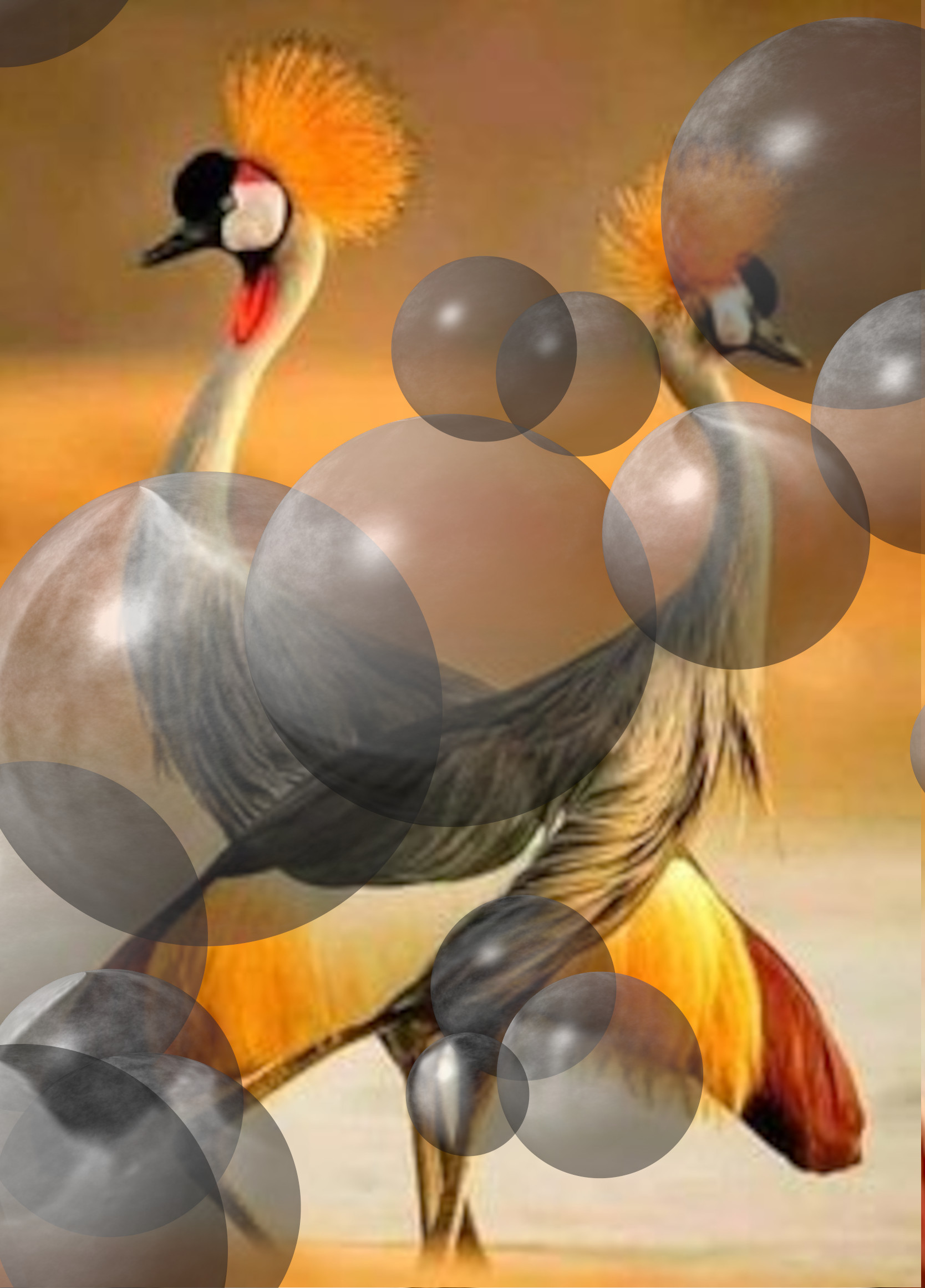 20e84dafcfc0657e2d3e4e70b7132a13_DN_Decor_Particles_Through_SphereMap_DesaturatedBubbles.jpg
