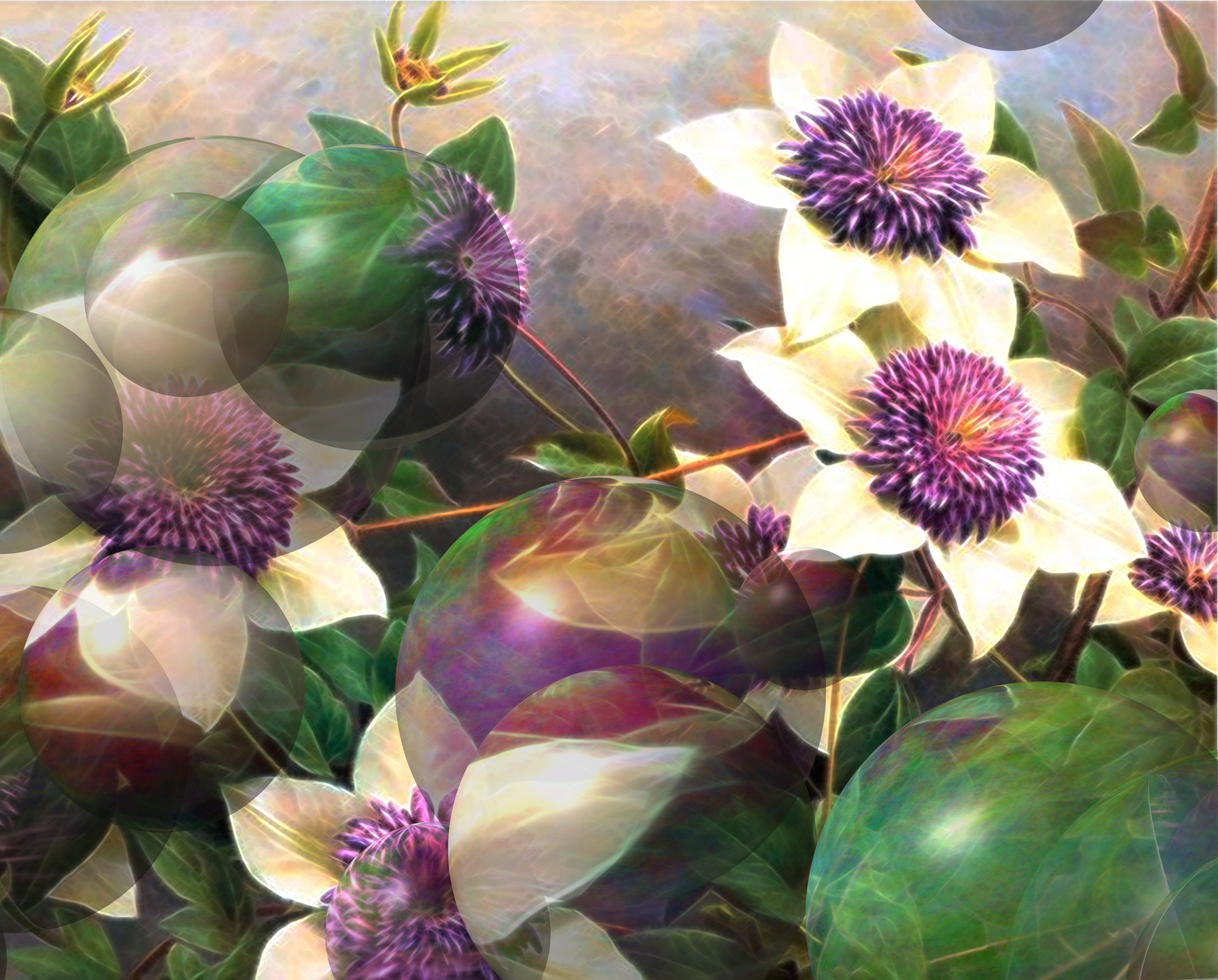 1d579_Fondo_Floral_DN_Decor_Particles_Through_SphereMap.jpg