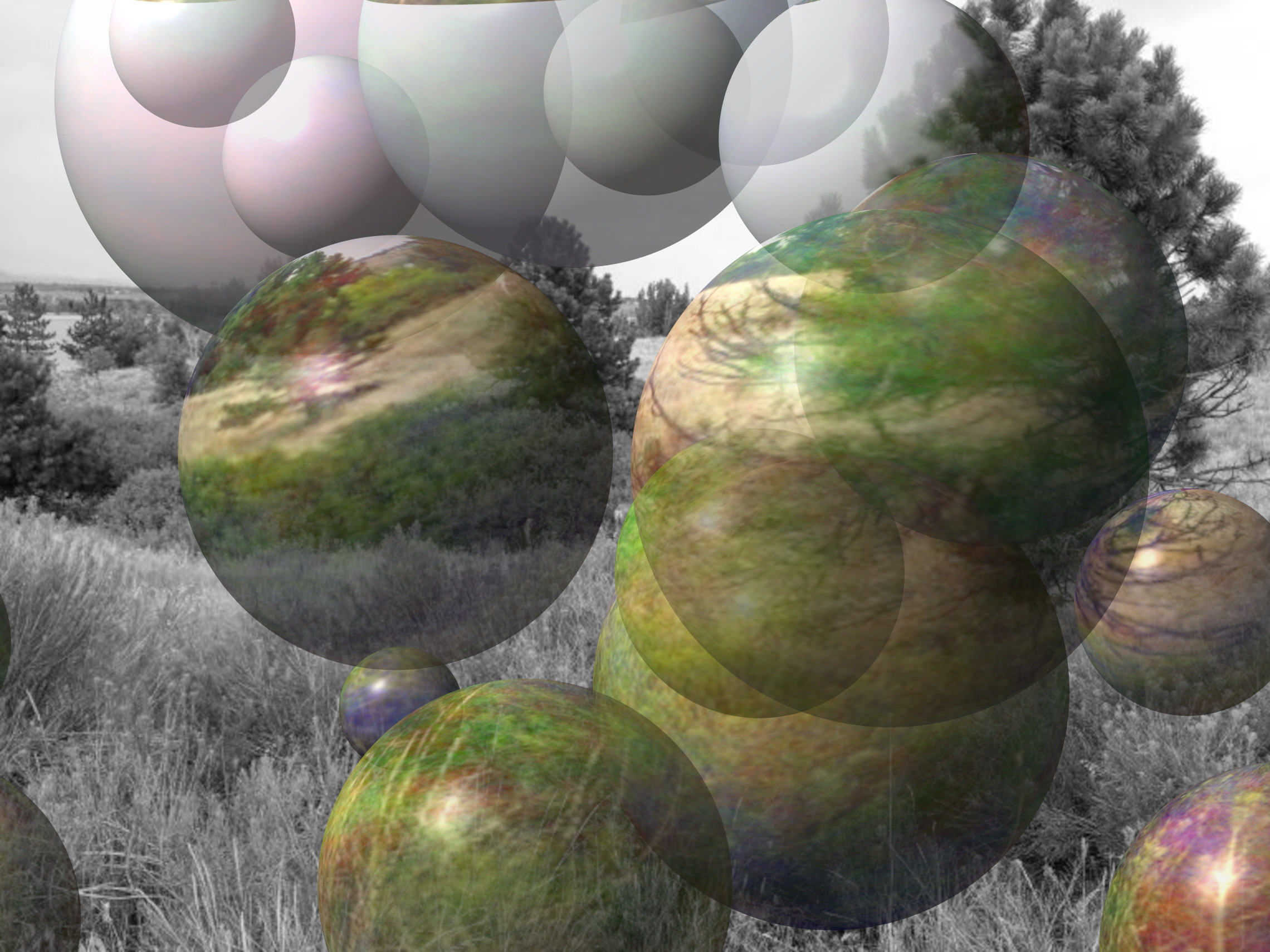 mule-deer-in-field-with-pine-trees_DN_Decor_Particles_Through_SphereMap.jpg