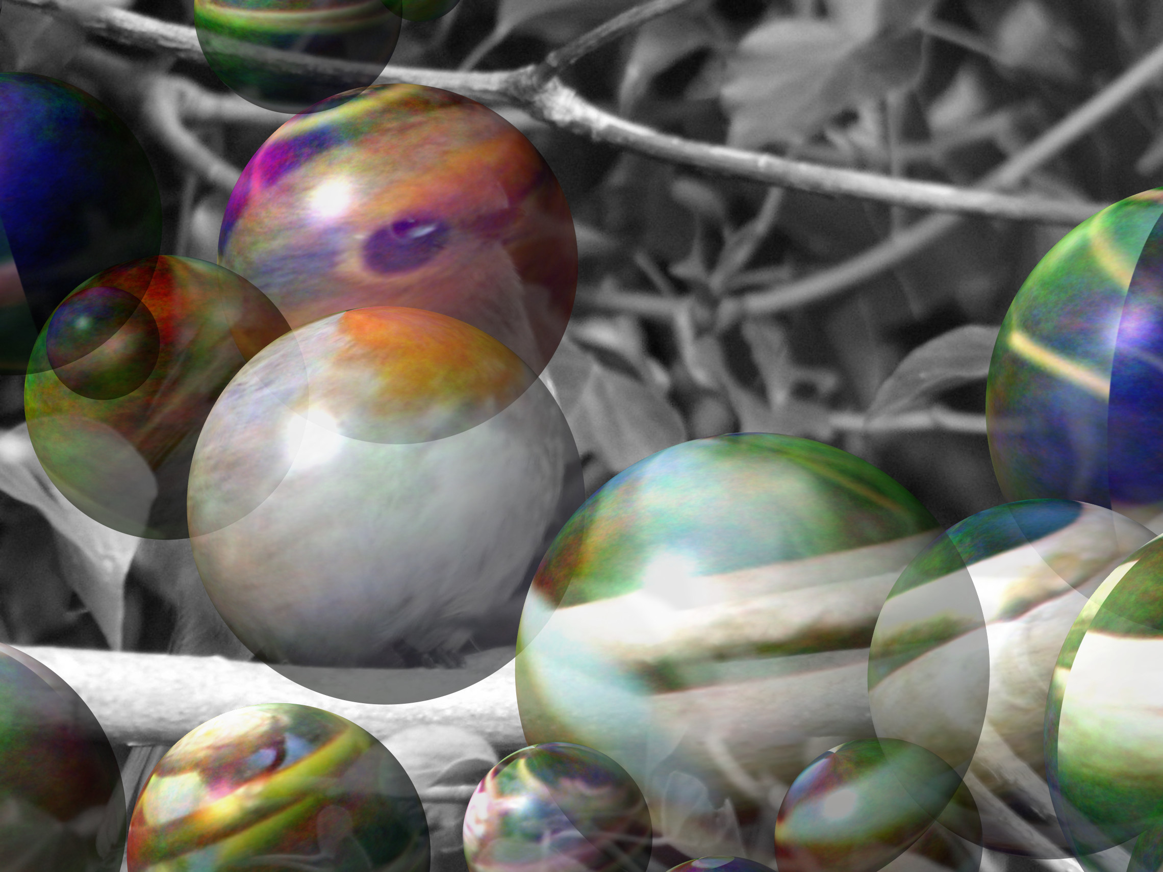 robin-1376841_DN_Decor_Particles_Through_SphereMap.jpg