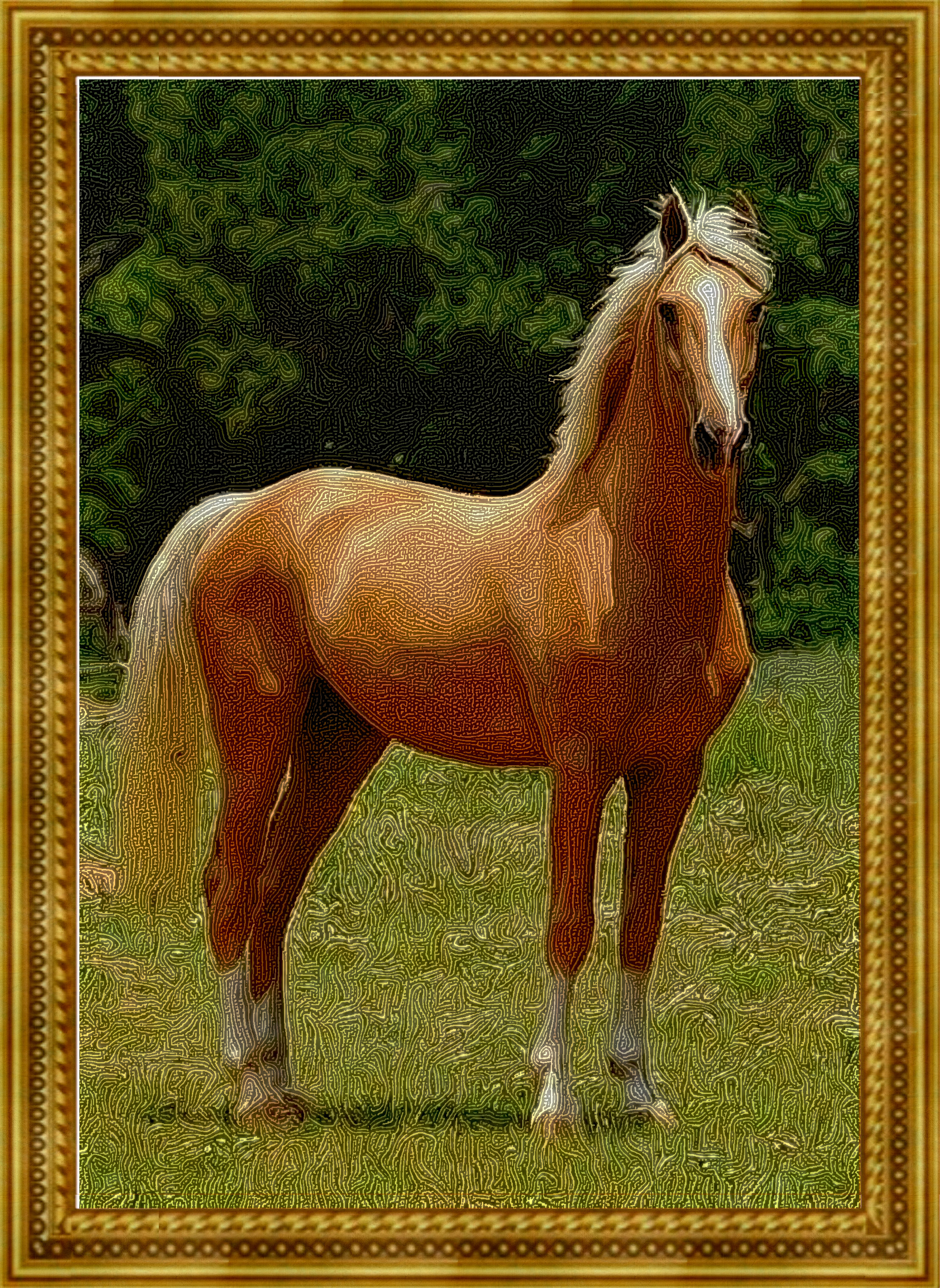 Horse__DN_Graphics_StringyLook_D.jpg