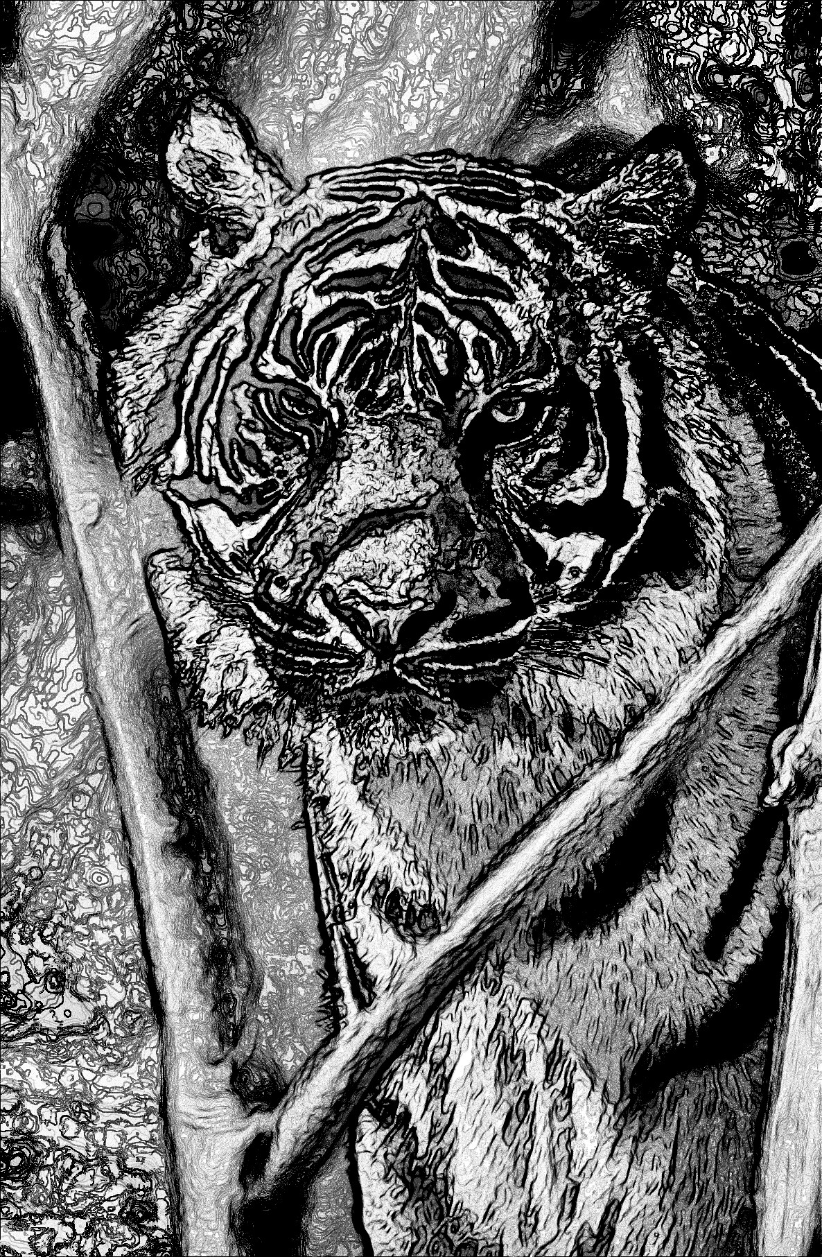 2021-03-28 08-49-03 pexels-george-desipris-2055100 with effect A (MedianBlur+Edge), option B&W (C2G) and draw look=medium.jpeg