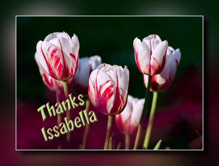 thanks_issa.jpg