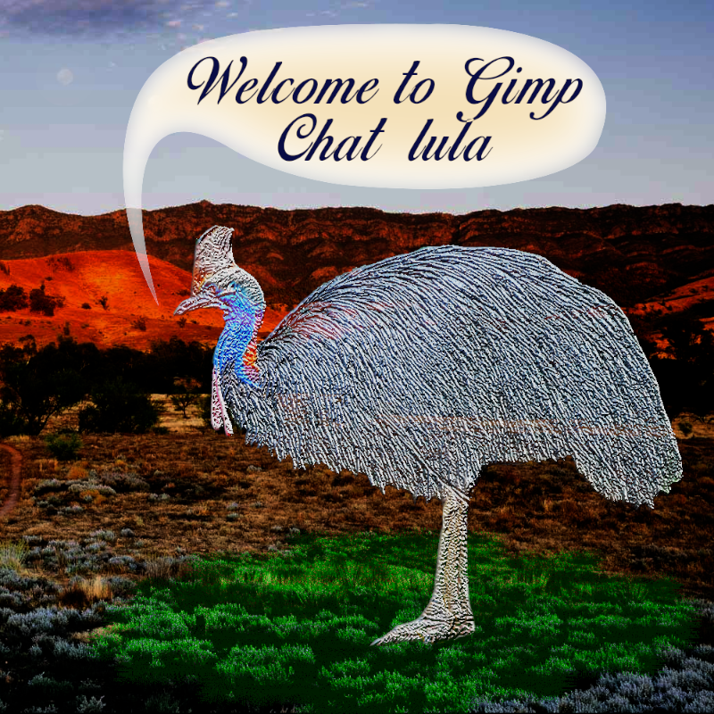 lula_casowary_gudday.png