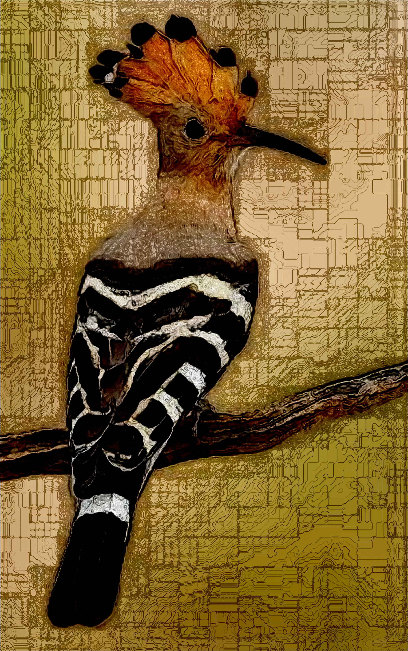 da08cf579bec7f3b34706a2ca1605716DN_EasyEffect_StyleA_Colour_Medium.jpg