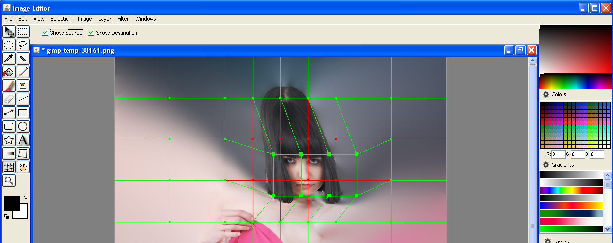 Image Editor and Warp Tool.png