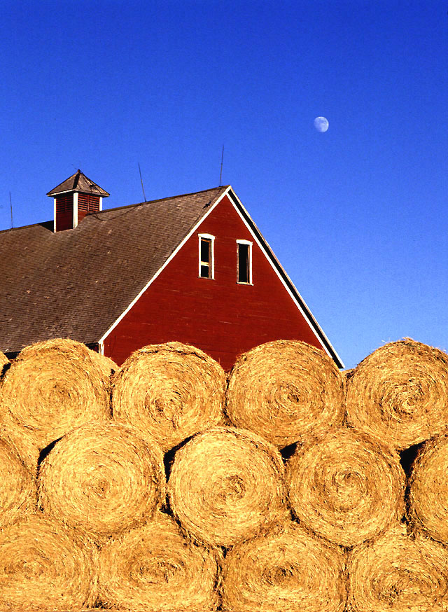 small_farm_k7862-1.jpg