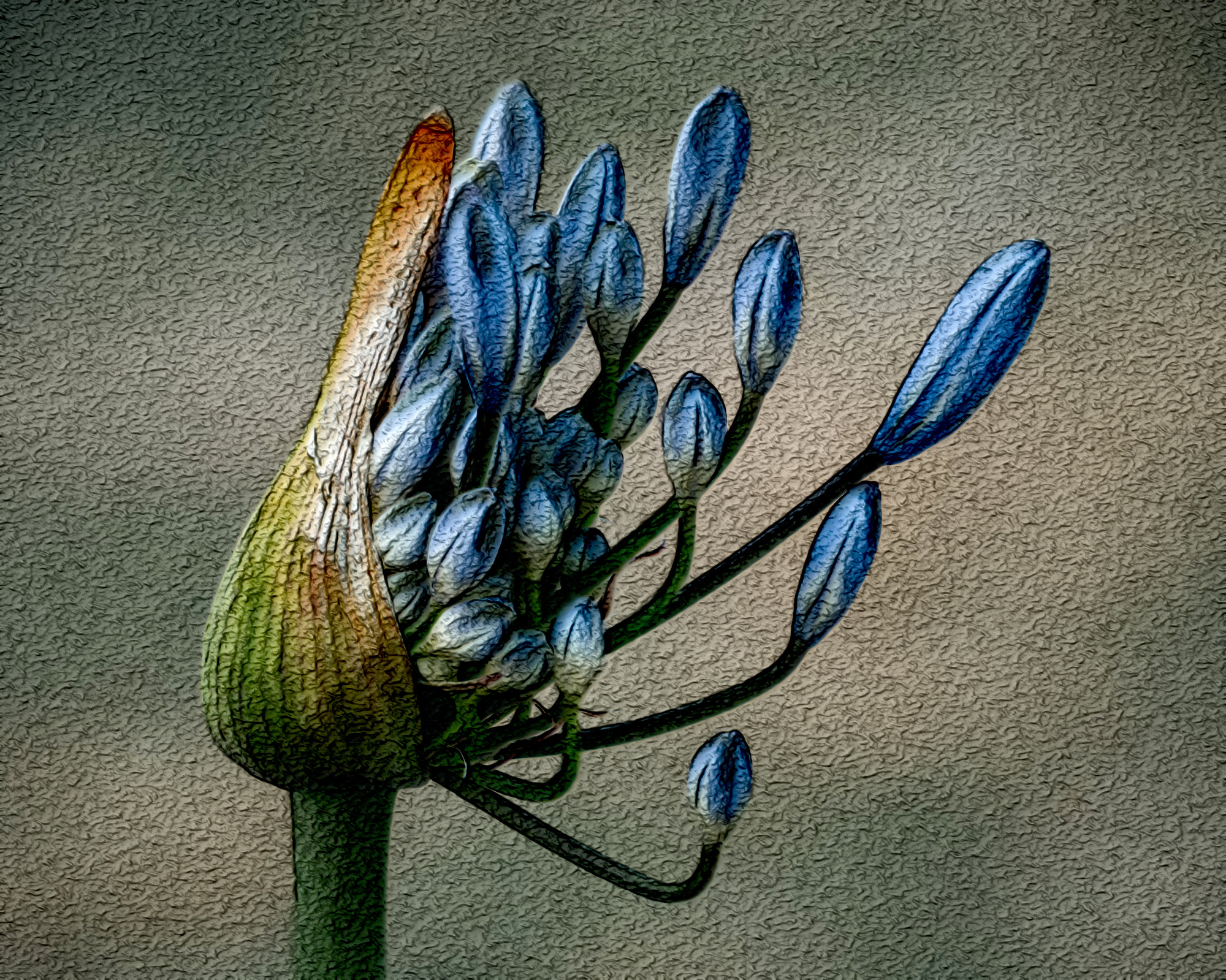 2021-05-01 16-33-29 pexels-gilberto-olimpio-3686216 with effect B (MeanCurvature+Neon), option colours (normal texture) and edges=medium.jpeg
