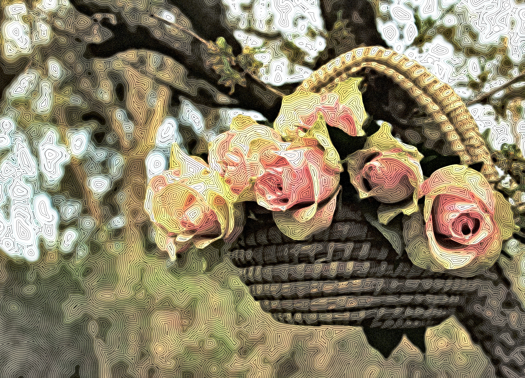 roses_EffectD_Mix_small_15_delicate.jpg