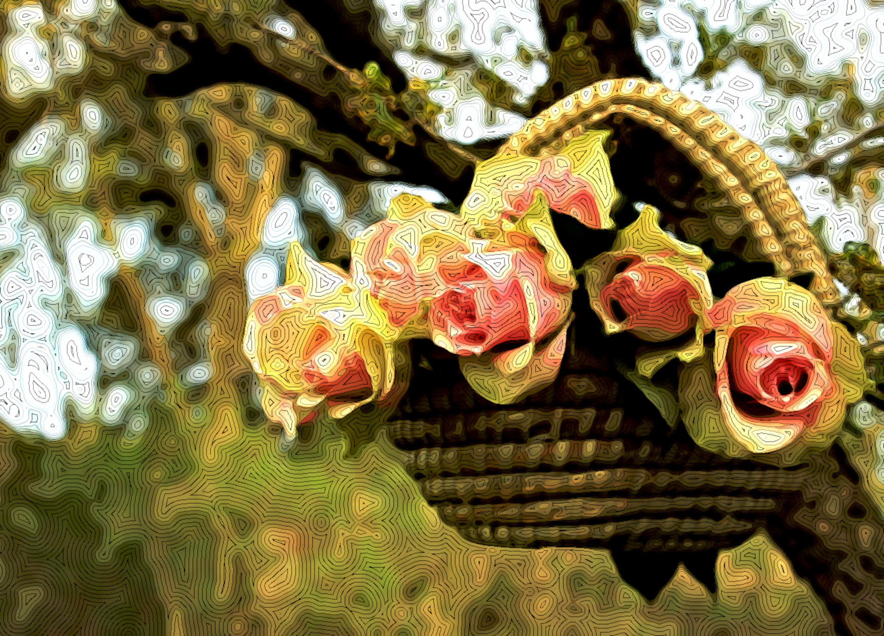 ROSES-EffetD_colour_small_20_normal.jpg
