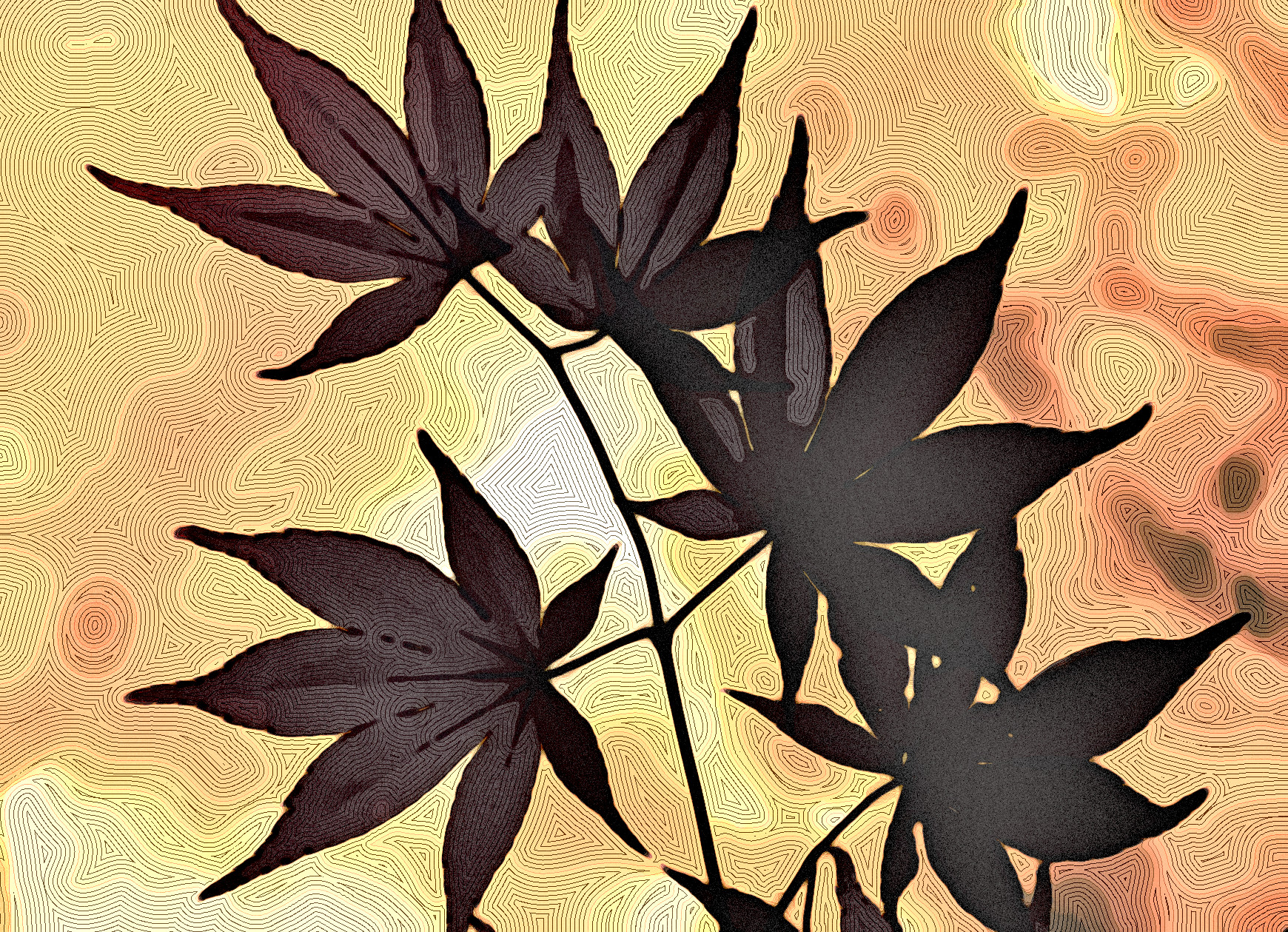 Leaves_1488538_DN_StyleD_MM15D.jpg