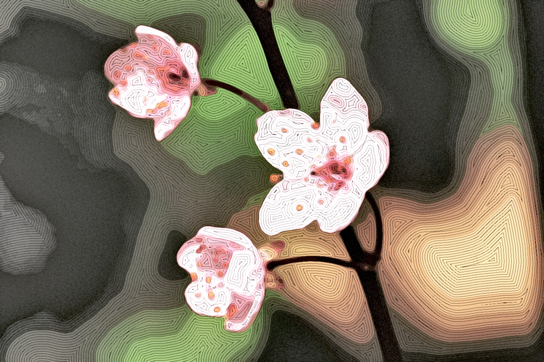 zierpflaume-6144845_DN_StyleD_MM15N.jpg