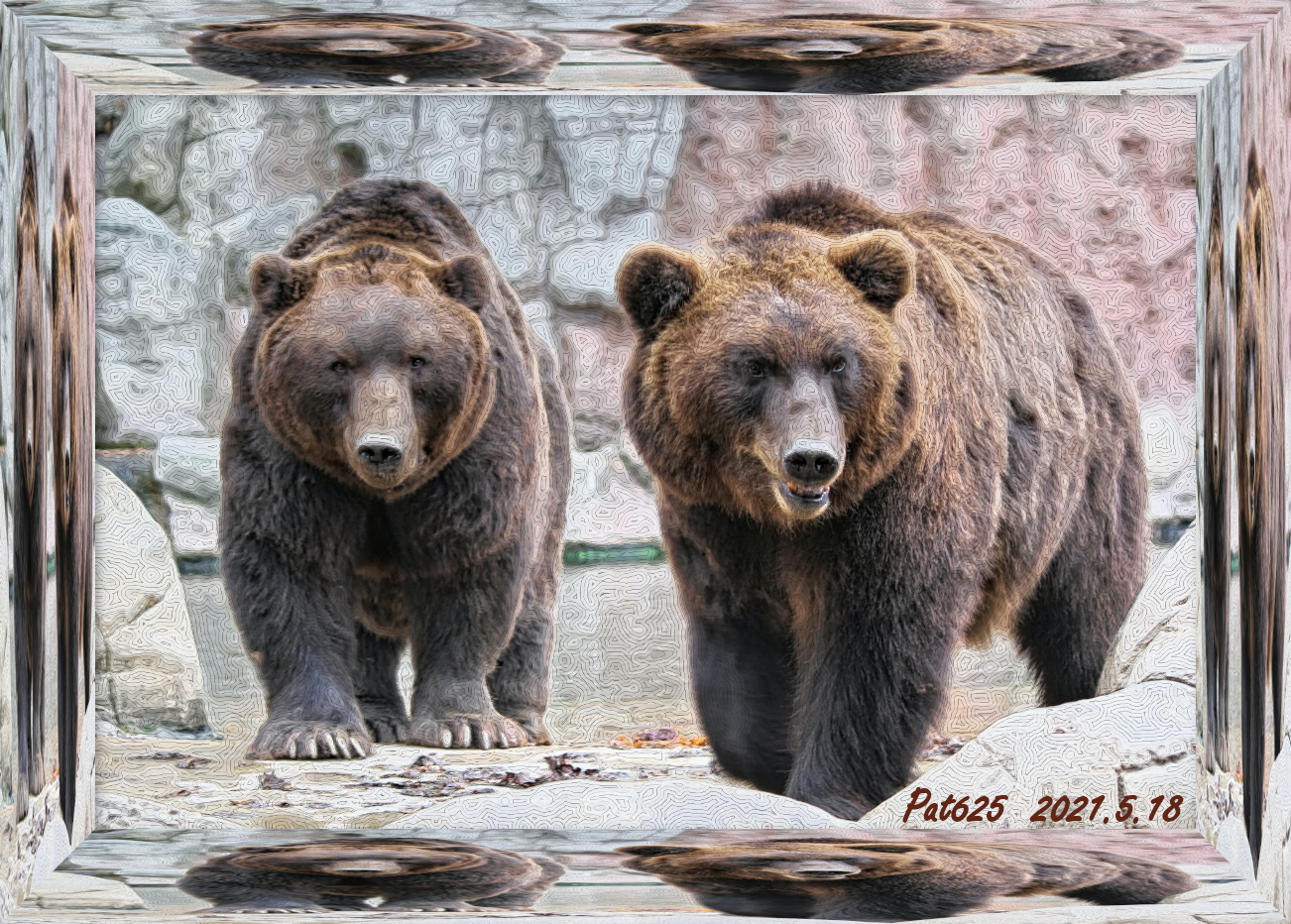DN EasyEffect D. Brown Bears. Paint_small(EdgeOffsets+GmicPosterize), colours (delicate texture) 20 colours.jpg