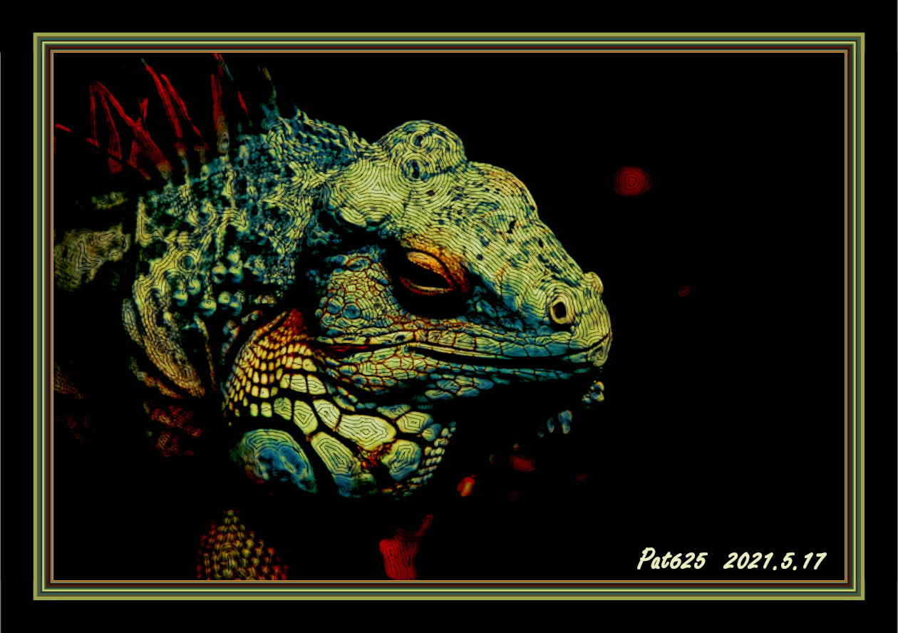 DN.Easy Effect D.Green Eguana.  Paint Med. (EdgeOffsets+GmicPosterize),mix colours-B&W (C2G) (normal texture) poster 30 colours.jpg