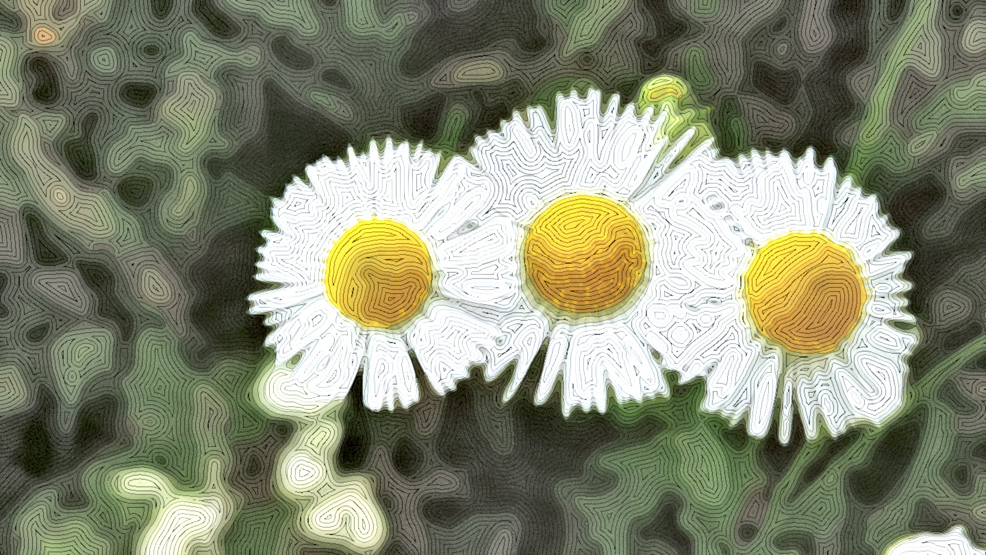 little-flowers-1639228_DN_StyleD_MM15N.jpg