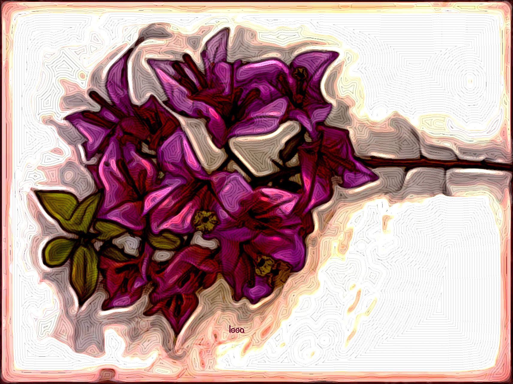 bouquet-Issa_DN_StyleD_CM15N.jpg