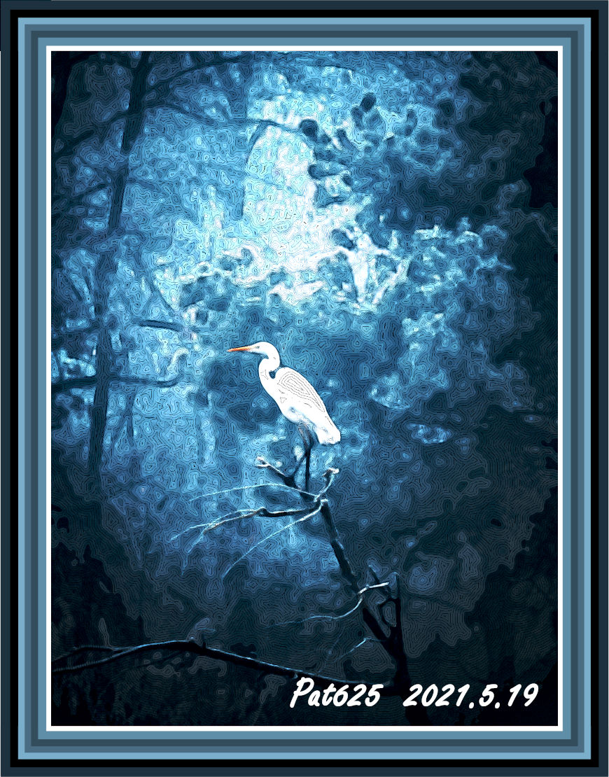 DN.Easy Effect_D. White Heron. Paint_small (EdgeOffsets+GmicPosterize), colours (delicate texture) 90 colours.jpg