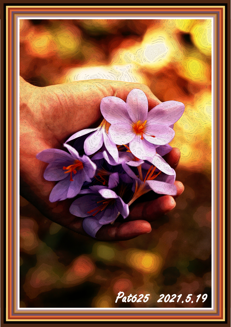 DN.EasyEffect D .Hand.Paint_Small(EdgeOffsets+GmicPosterize), colours (delicate texture) 90 colours.jpg