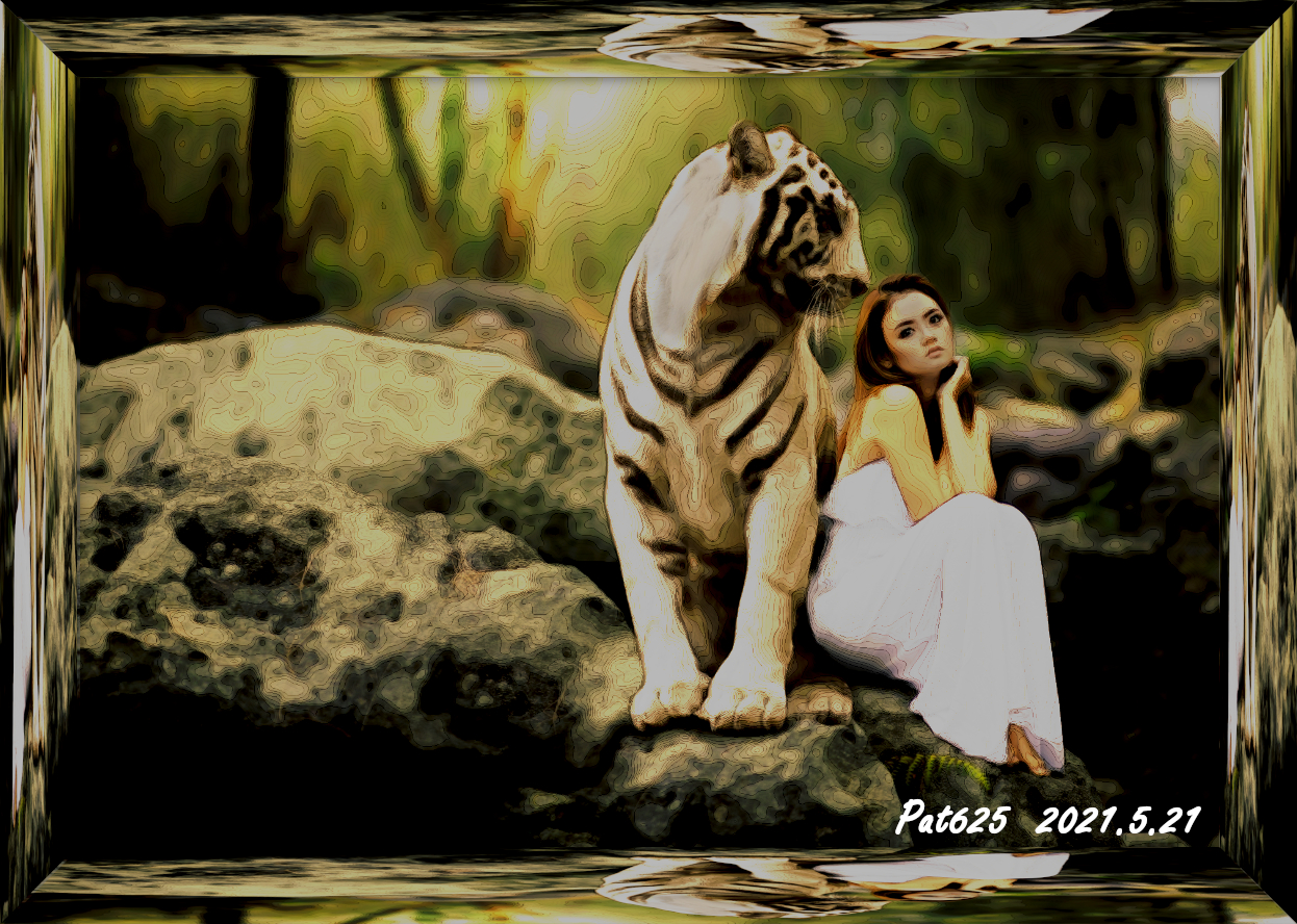 DN EasyEffect D. Tiger Girl (EdgeOffsets+GmicPosterize), Paint_Med. colours (delicate texture)  15 colours.jpg