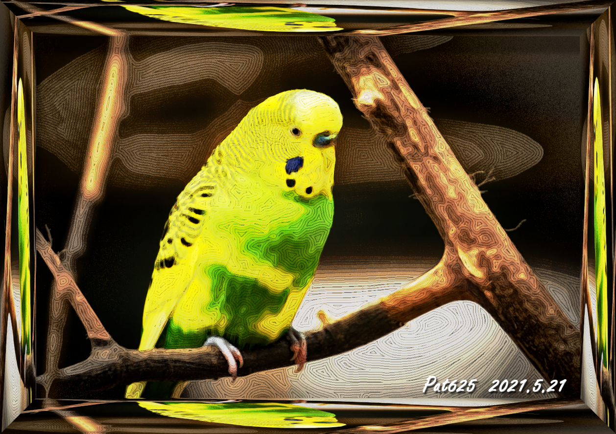 DN.EasyEffect D. Parakeet (EdgeOffsets+GmicPosterize), Paint_Med. colours (normal texture) 90 colours.jpg