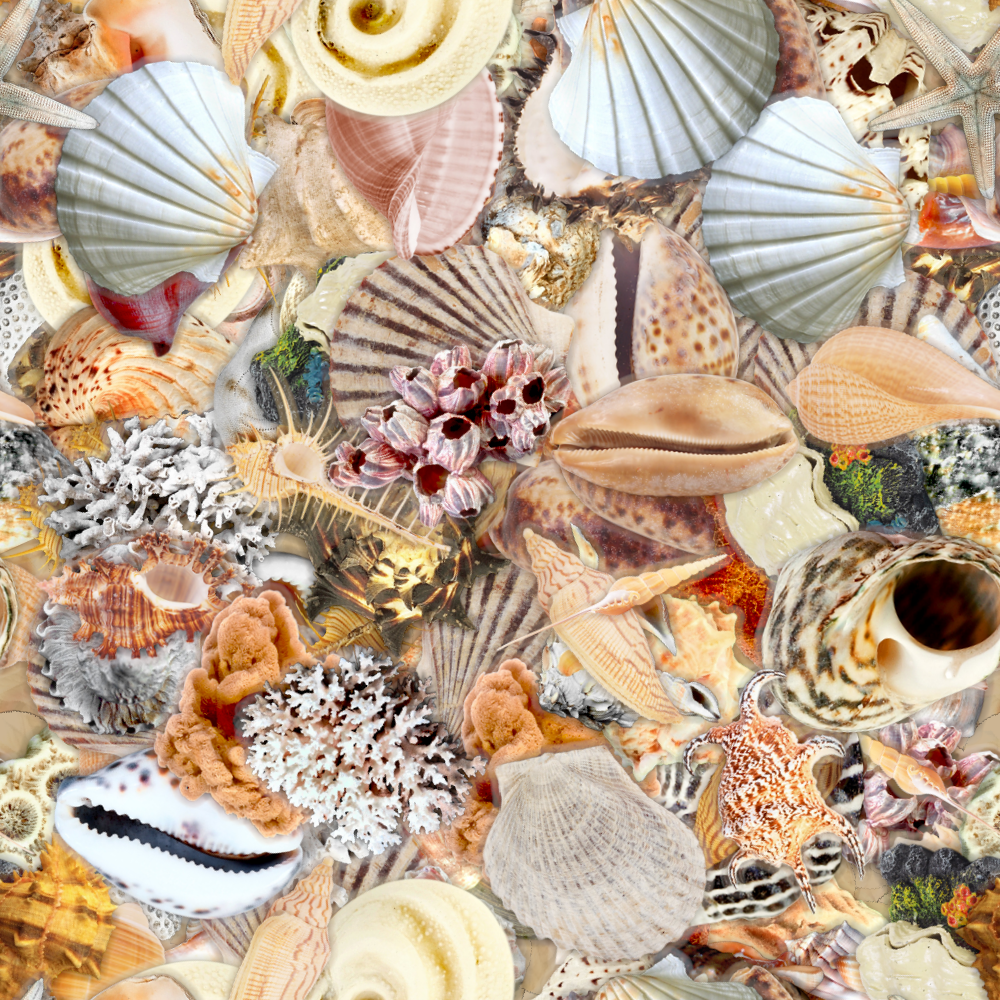 seamless_shells.png