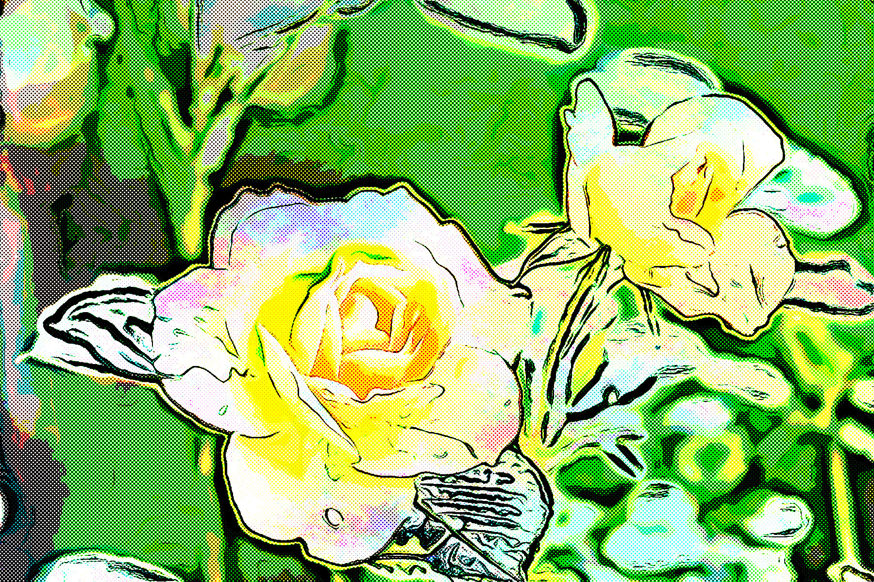 rose-flower-blossom-bloom-39517_Jvid_Effect_F3.jpeg