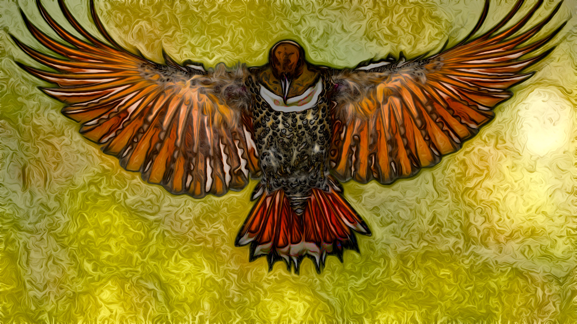 Hummingbird_lessVectorPaintfx_JVID_C.jpg