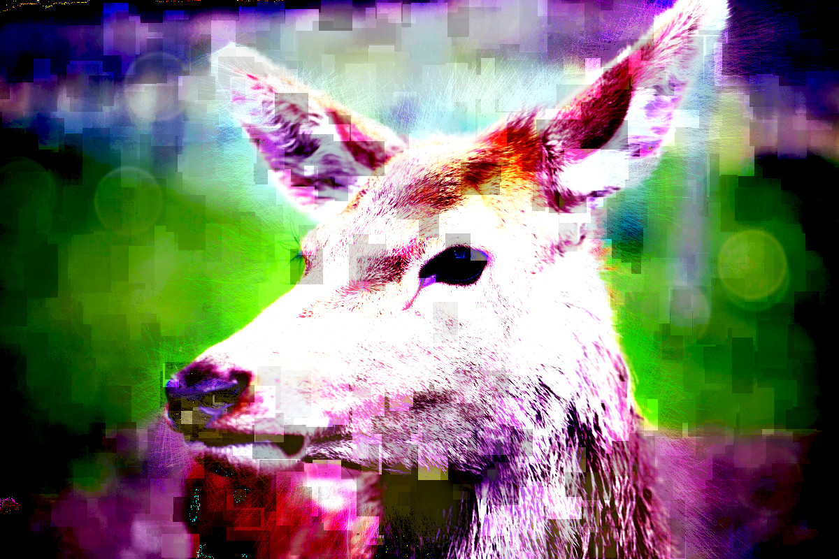 MadC.jpg