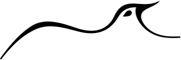 oiseauLu.png