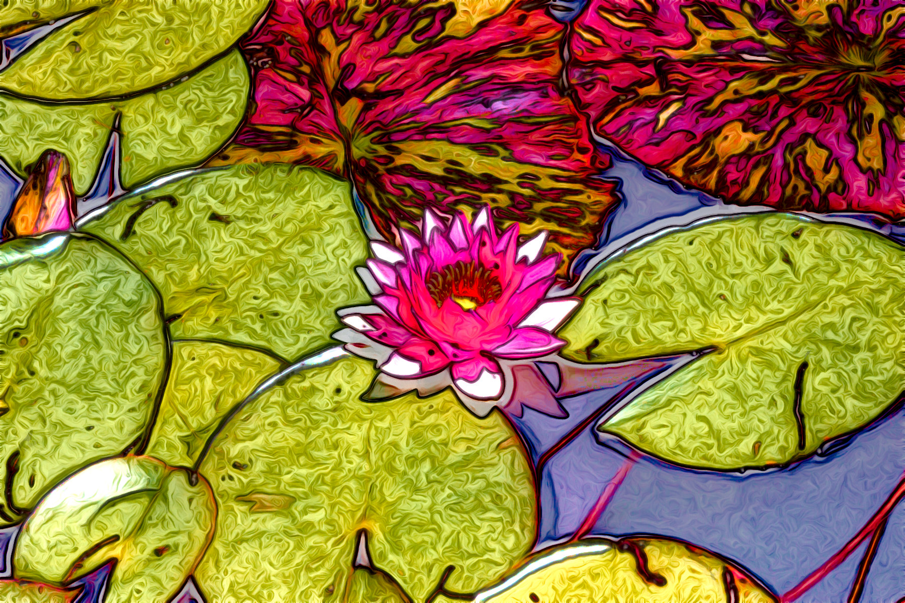 Lily_DSC013_11_hue180_JVID_C.jpg