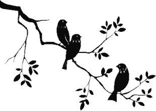 oiseauxBranches.png