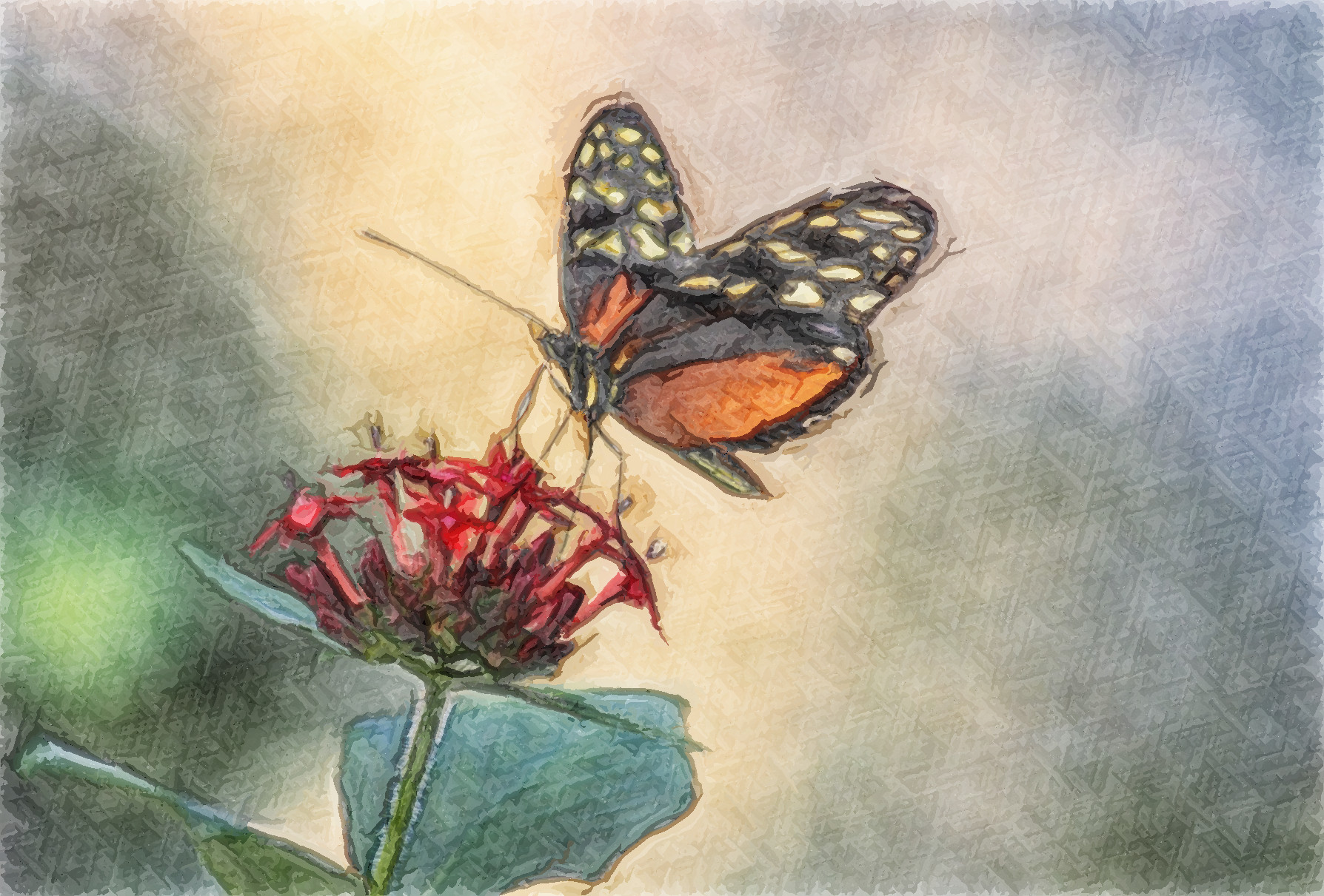 Butterfly_Jvid_Effect H.jpg
